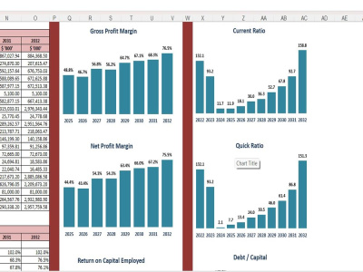 Comprehensive Financial Modeling & Analysis with Advanced Excel Expertise