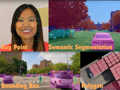 Image Annotation, Image Labeling, Image Tagging on Cvat and Labelbox ...