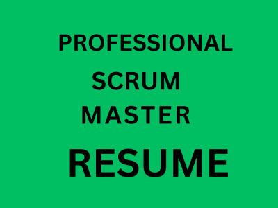 A professional scrum master resume
