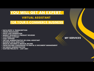 An Virtual Assistant for your E-commerce Business