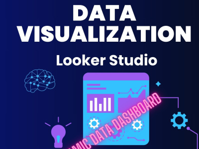 Professional Looker Studio Dashboard and Report