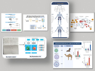 Scientific illustrations and flowcharts for your research or publication