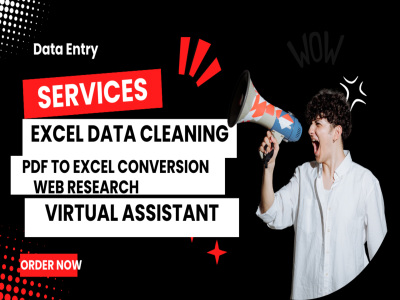 Professional Data Entry, Web Research, and Data Mining Services | Upwork