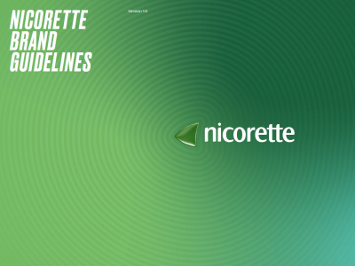 A corporate brand guideline