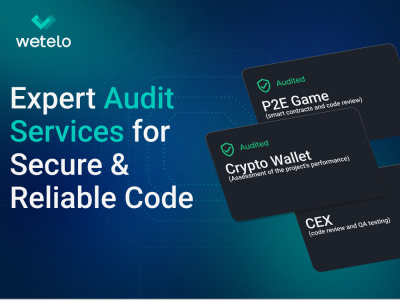 A full audit of your project
