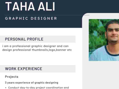 A professional Resume for Linkedin etc
