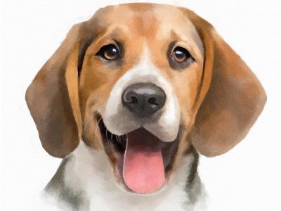 Watercolor pet portrait from your photo