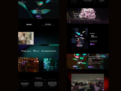 Webflow Innovations: A Gallery of Professional Designs