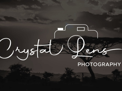 Luxury Signature Logo and Branding Kit for your business