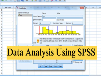 Assistant in SPSS Data Analysis and Interpretation
