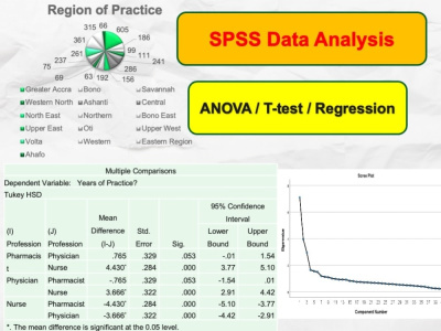 Assistant in SPSS Data Analysis and Interpretation