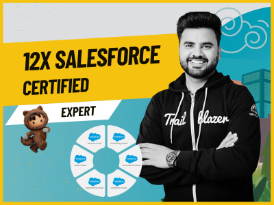 A skilled Salesforce Solution Architect