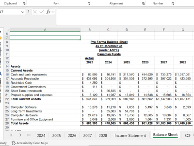 Pro forma Financial Statements for your Financial Planning and Analysis ...