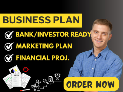 An investor/bank ready Business Plan including Financial Projections