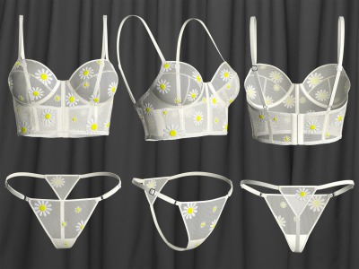 3d model / 3d visualization of any types of lingerie / underwear