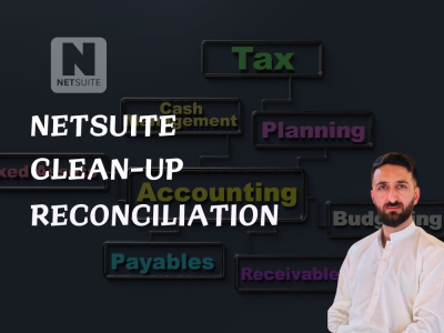Netsuit Clean up & Reconciliation
