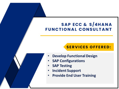 SAP Functional Consultancy services for a cheaper price.