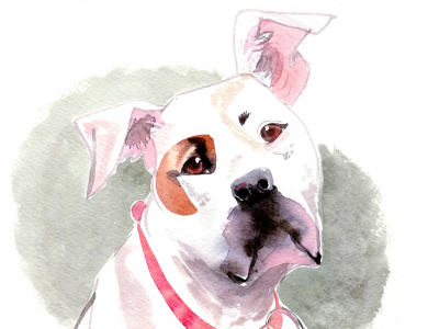 Charming watercolor pet portrait