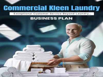 A professionally structured business plan tailored to your business model.