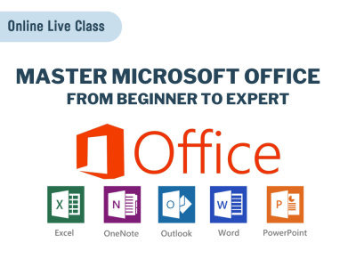 Professional Microsoft Office Training From Beginner to Expert Level