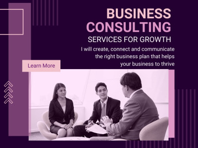 Business consultation, Business plan analysis, Business plan consultant