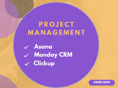 Project Manager | Asana | Clickup | Monday CRM