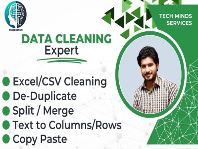 Data Entry | Excel/CSV Cleaning | Remove Duplicates | PDF to Excel