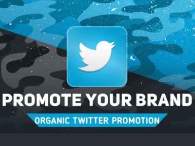 Organic twitter ads X followers | 100% Real and Targeted twitter followers