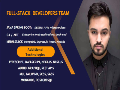 Web applications using java spring boot, c sharp, mern stack | Upwork