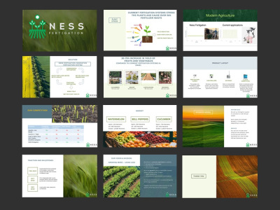Professional Pitch Deck, PowerPoint Presentation Design and Google Slides