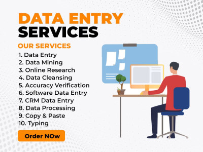 Professional Data Entry Specialist for all types of Data Entry Admin ...