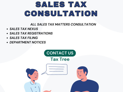 Sales Tax consultation for ecommerce and software (canned, custom and SAAS)