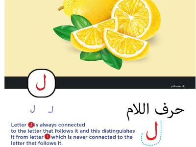 The chance to be able to read and communicate in Arabic