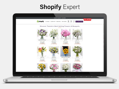 Professional Shopify Store Design | Expert Shopify Developer | Dropshipping