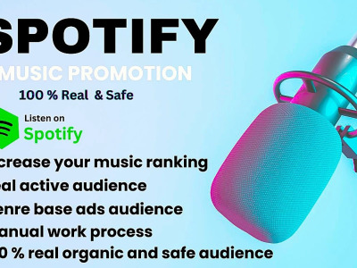 Professional spotify music promotion