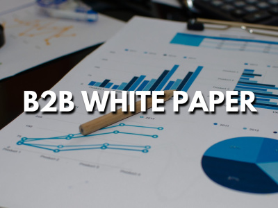 A B2B white paper full of actionable insights