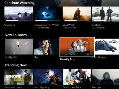 Well develop iptv app tivimate ibo player smart tv app with subscription