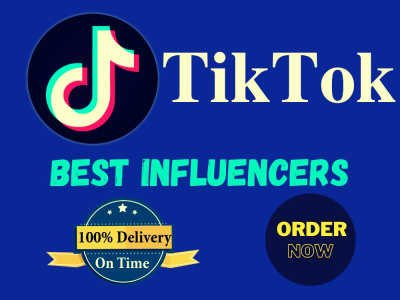 TikTok influencer research of any Category