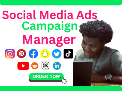 Social media ads campaign, Facebook ads manager, IG, Pinterest & TikTok ads