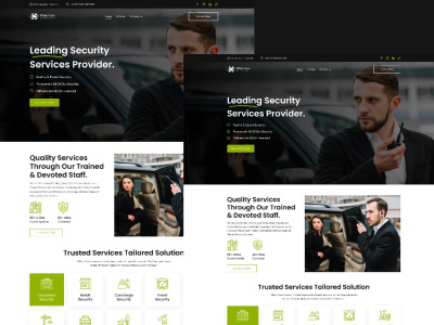 WordPress Developer, Elementor Developer, Landing Page Designer | Upwork