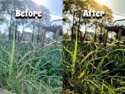 Your Photos Edited via Adobe Photoshop
