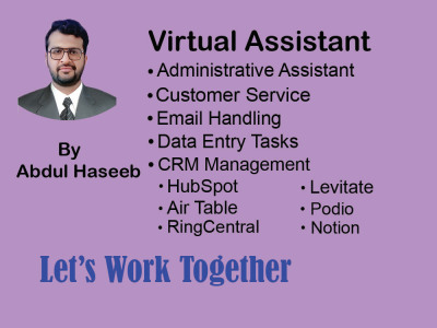 Professional Virtual Assistant for Data Entry and Administrative Tasks