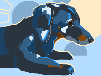 A colorful pet portrait in an abstract, geometric style.