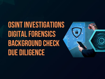 Penetration testing vulnerability assessments and OSINT