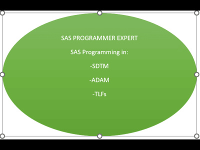 An expert in Statistical SAS Programming/Clinical SAS Programming