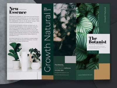 Logo & Brand Kit + Mood Board – Perfect for Small Businesses & Creators