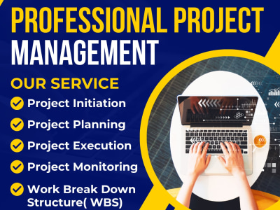 Professional Project Manager for your agency