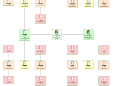 Assistance to build your family tree on your chosen genealogy platform