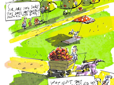Humor Cartoon Comics Color or Black White