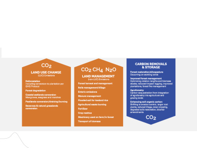 Carbon accounting for agriculture and food industry